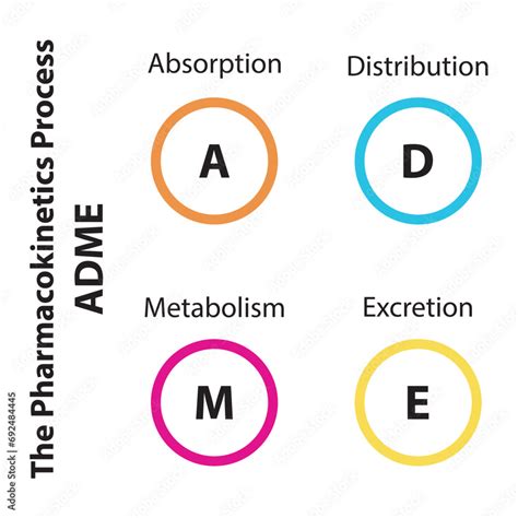 Diagram Showing Pharmacokinetic Parameters ADME Absorption