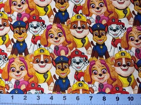 Paw Patrol Cotton Fabric 18 X 21 Fat Quarter Etsy