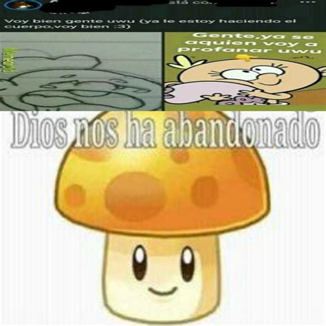 Top memes de Dios nos ha abandonado en español Memedroid