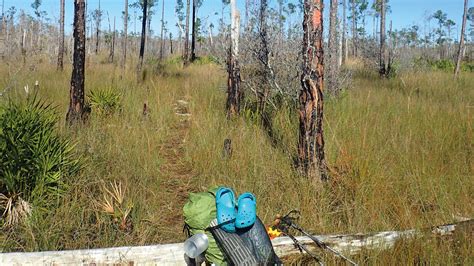 Hiking the Florida Trail – Florida Hikes