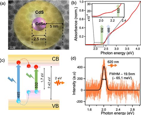 A Tem Image Of Colloidal Cdse Cds Ncs And Illustration Of The