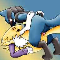 Post 302748 Crossover Digimon Lucario MewtwoX Porkyman Renamon