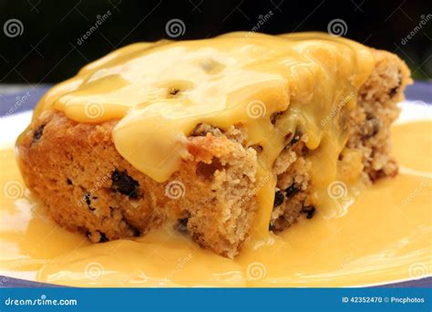 Sponge Pudding Stock Photo Image Of Currants Food Sultanas 42352470