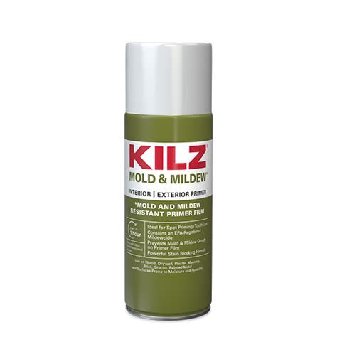 Kilz Ceiling Paint For Mold | Shelly Lighting