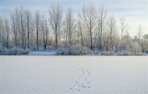 10 Things To Do in & Around Island Park in the Winter - Island Park ...