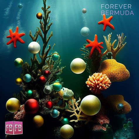 Virtual Art Photo Gallery Christmas Coral Reefs Forever Bermuda