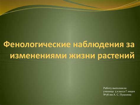Фенологические наблюдения за изменениями жизни растений - презентация ...