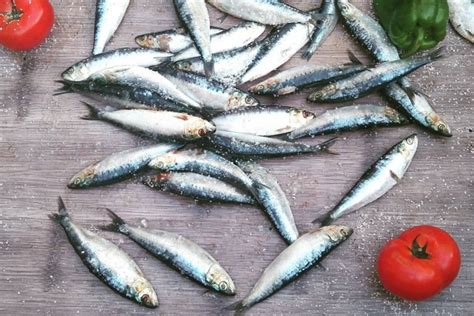 Everything You Need to Know About Sardines in Lisbon – Devour Tours