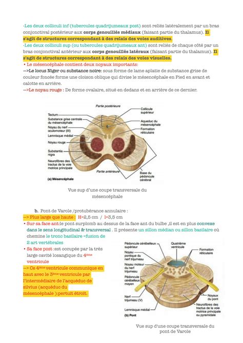 Solution Tronc C R Bral Studypool