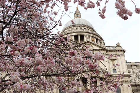 Top Cele Mai Frumoase Fotografii Din Londra Vis Tor Prin Lume