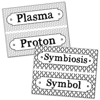 Chemistry Vocabulary Word Wall Terms With Editable Cards Tpt