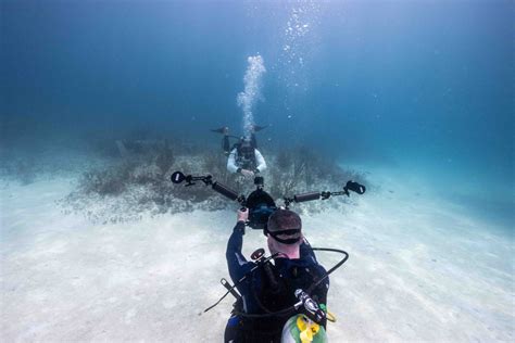 Sdis Revamped Open Water Scuba Diver Course Videos