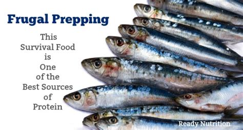 Frugal Prepping This Survival Food Is One Of The Highest Sources Of