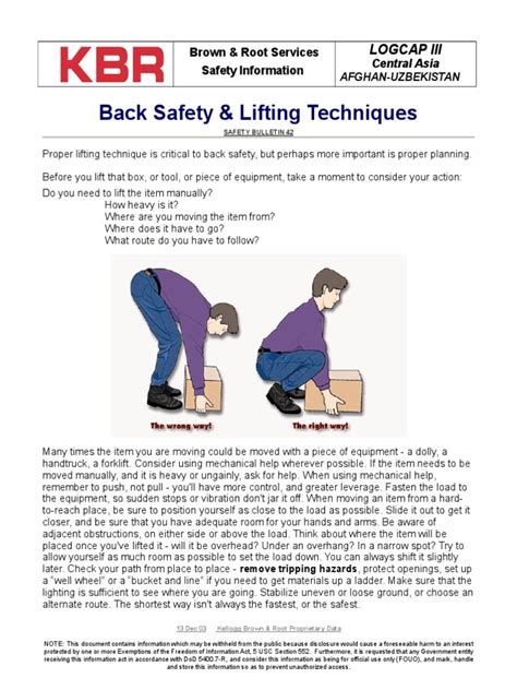 Back Safety And Lifting Techniques Logcap Iii Pdf Flexibility Anatomy