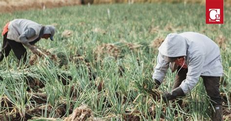 Minagricultura Ampl A Periodo De Inscripciones Para Acceder A Reintegro