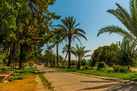 Antalya Turkey Picturesque Karaalioglu Park With Palm Trees On A