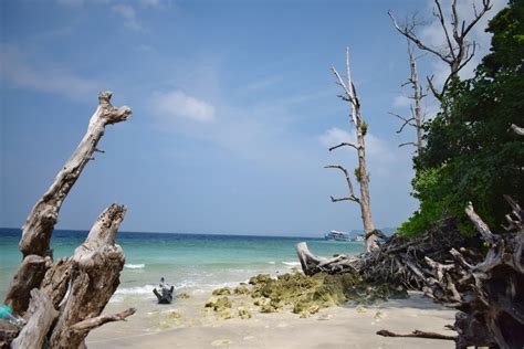 Nights Days Andaman Package For Honeymoon Book Now