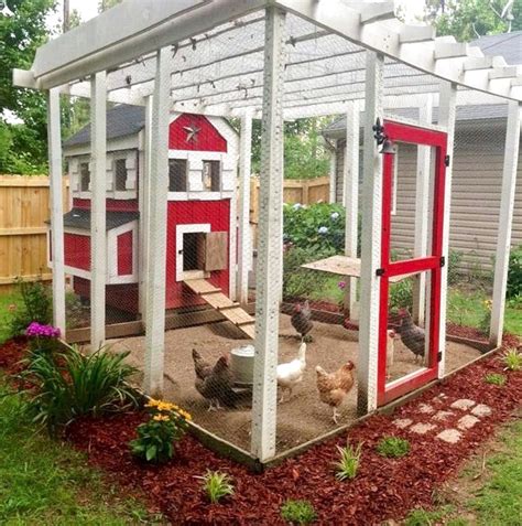 Special Chicken Run Ideas For Your Garden Decoration FRUGAL LIVING