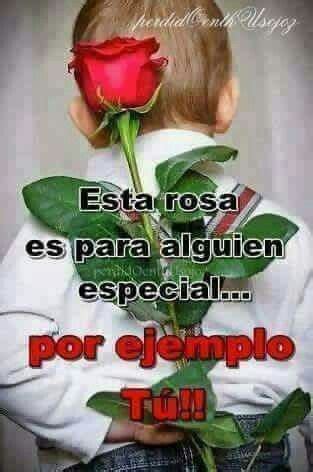 Esta rosa es para ti Frases motivadoras de buenos días Frases de