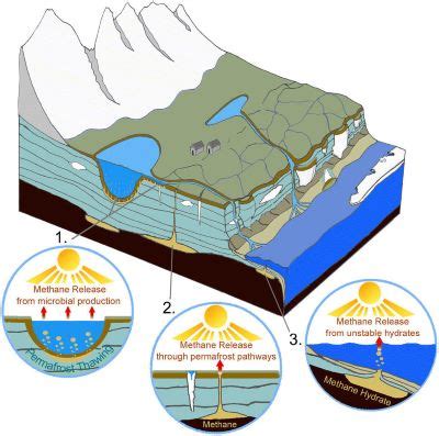 Permafrost | Definition, Location & Characteristics | Study.com