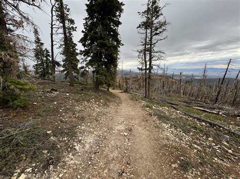 Hiking the Riggs Spring Loop Trail in Bryce Canyon National Park