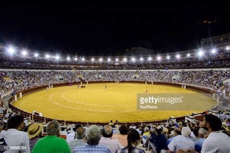 Bull Fighting Arena Photos And Premium High Res Pictures Getty Images