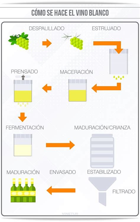 Cómo es el proceso de elaboración del vino blanco Elaboracion del