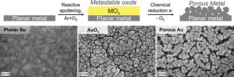 General Workflow Of The Noble Metal Electrode Porosification Process