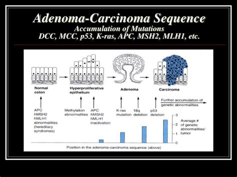 Ppt Genetics Of Colorectal Cancer Powerpoint Presentation Id 66088