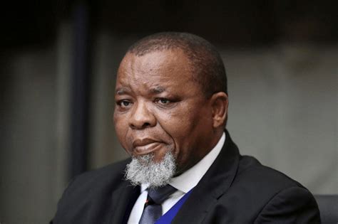 Gwede Mantashe's Energy Vision for South Africa: Nuclear and Renewables | South African News