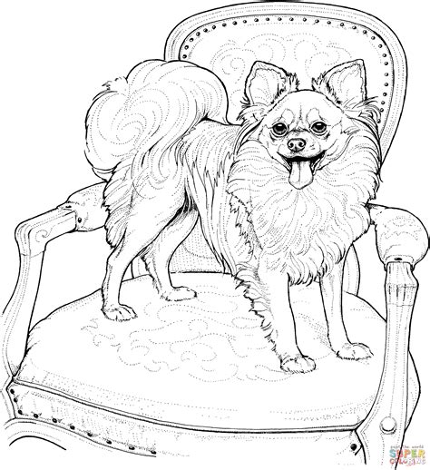 Papillon Super Coloring Dog Coloring Book Puppy Coloring Pages