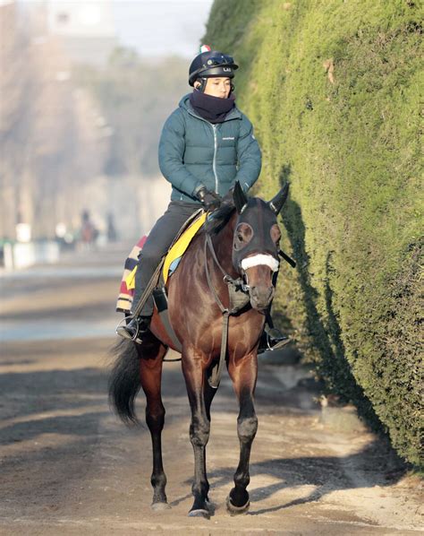 【ダービー卿ct】パラレルヴィジョンは得意のマイルで重賞初vへ 国枝栄調教師「いい動きだった。順調だね」 Umatoku 馬トク