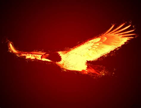 Flaming Eagle by JelaniArt on DeviantArt