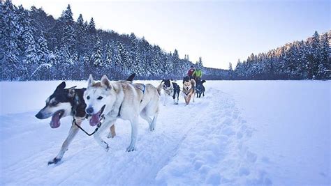 The Top Winter Activities To Do in Muskoka, Ontario