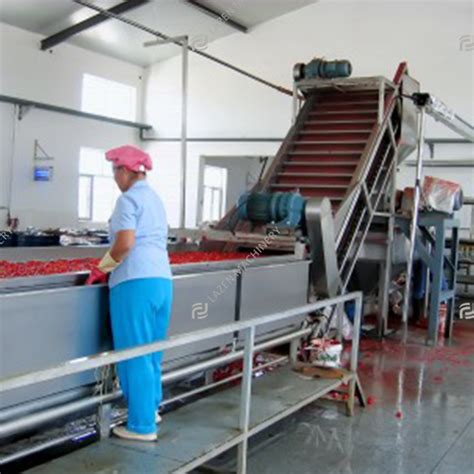 Tomato Juice Processing Line Jiangsu Lazen Machinery Technology Co Ltd