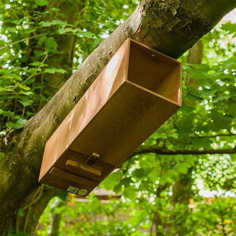 Tawny Owl Nest Box The Nestbox Company