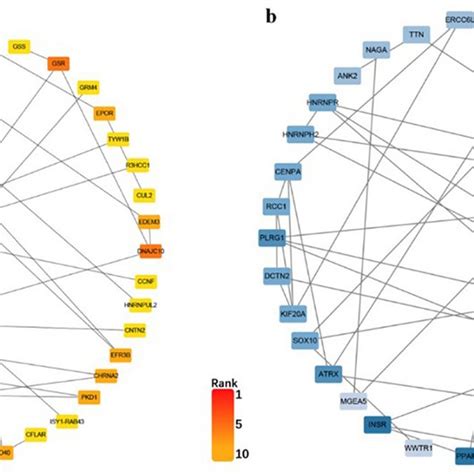 The Top Predictive Tfs Of De Mirnas A The Top Tfs Of