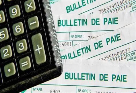 Le Bulletin De Salaire Gratuit