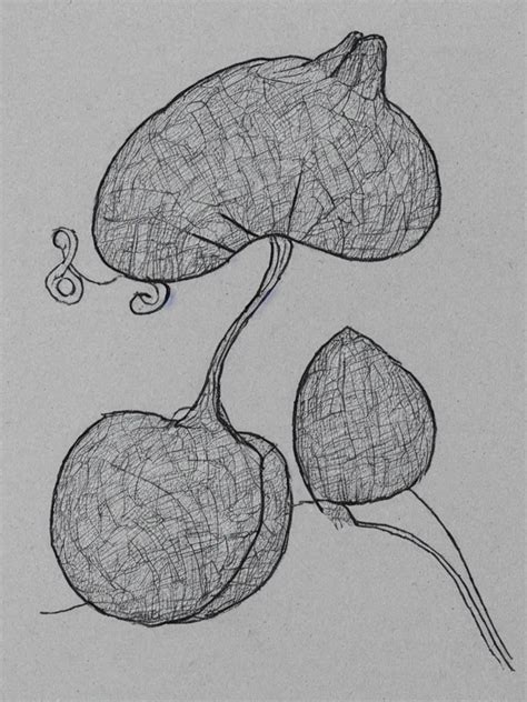 A Sketch Of An Acorn That Turns Into A Tree In The Stable Diffusion