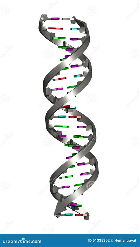 Dna Double Helix Stock Illustration Illustration Of Digital 51335302