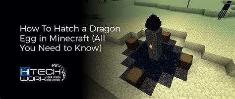 Minecraft Dragon Egg Hatch