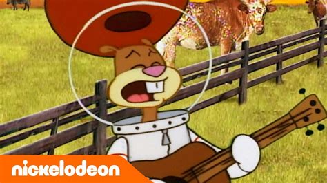 Spongebob Schwammkopf Minuten Episoden Texas Nickelodeon