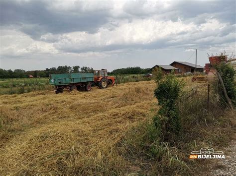 Info Bijeljina Etva U Semberiji Pri Kraju Poljoprivrednici Otkrili