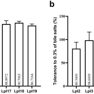 L Plantarum Strains Prevent Histopathological Damage Induced By 5 FU