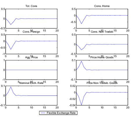 consumption prices output labor external finance premium