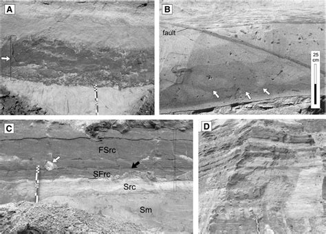 Deposits Of Unit 1 A Package Of The Siltysandy Deposits Arrowed