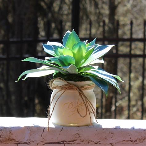 Mason Jar Succulent Etsy