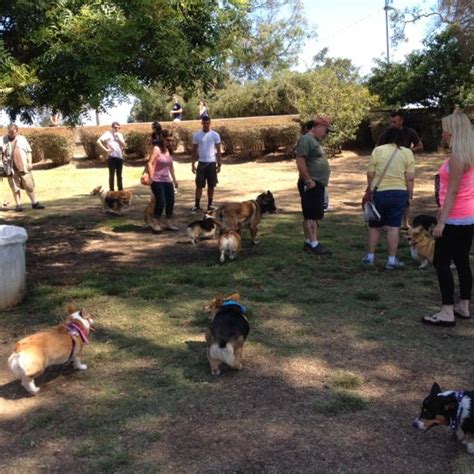 Balboa Park Dog Park Dog Run In Balboa Park