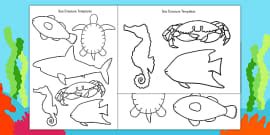 Sea Creature Cutouts Coloring Resource Twinkl USA