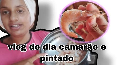 vlog do meu dia fiz camarão no almoço minha rotina da manhã YouTube